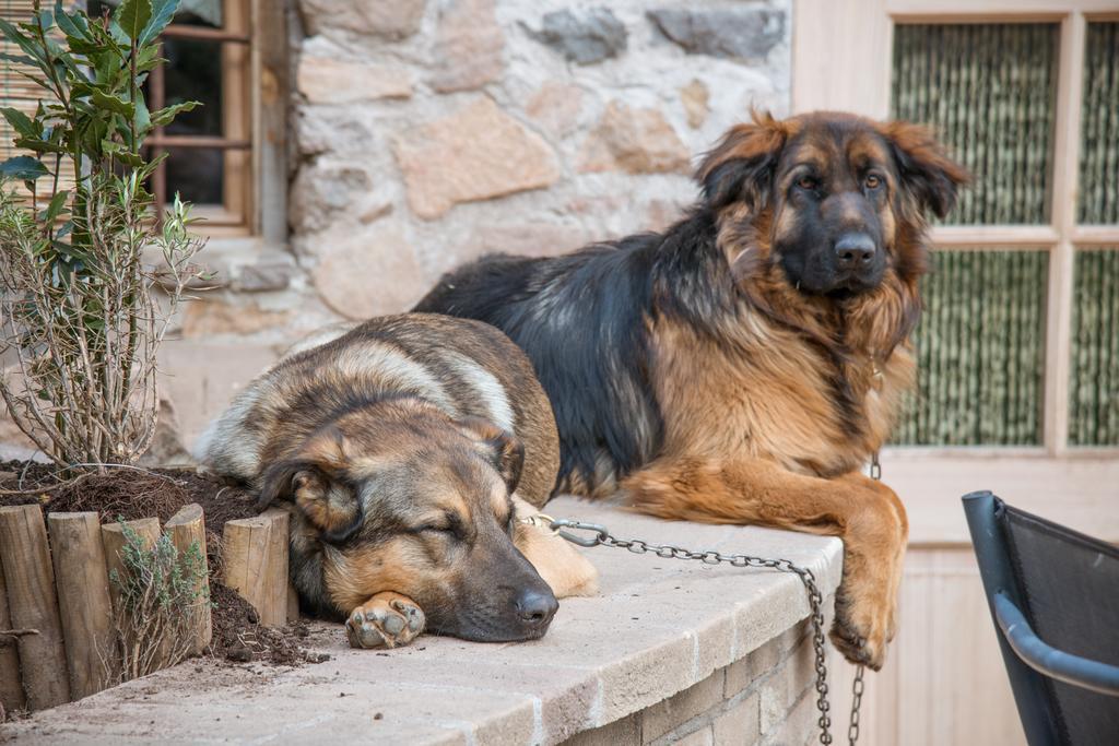 Bed and Breakfast Maso Franceschella Carano  Zewnętrze zdjęcie
