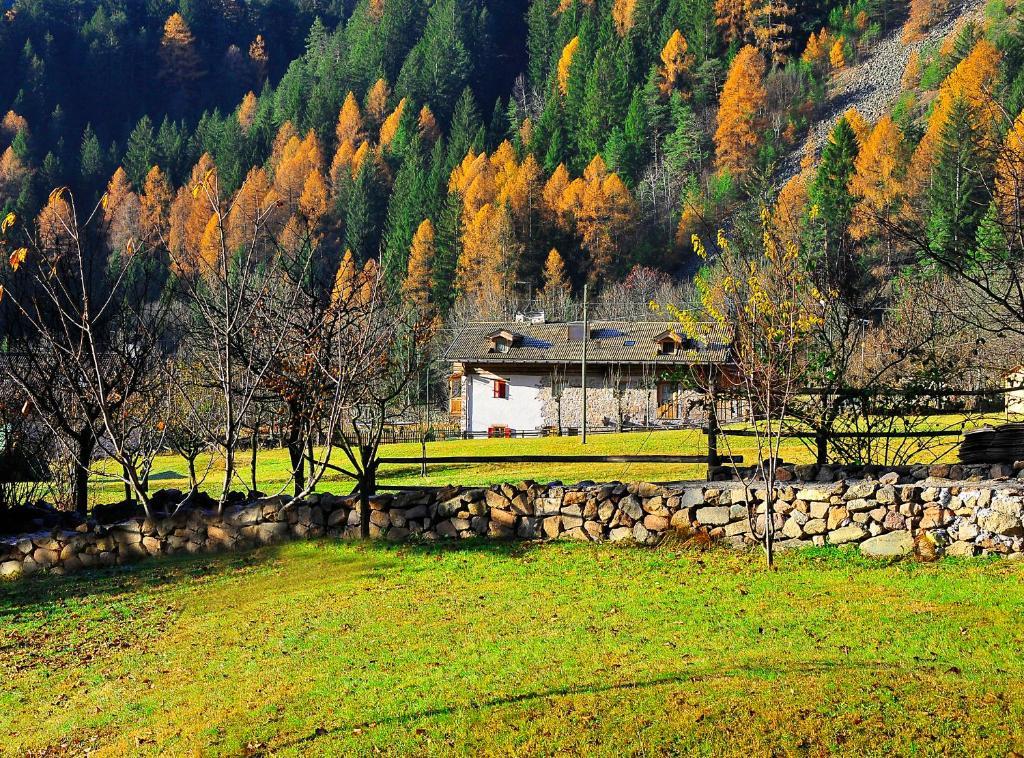 Bed and Breakfast Maso Franceschella Carano  Zewnętrze zdjęcie